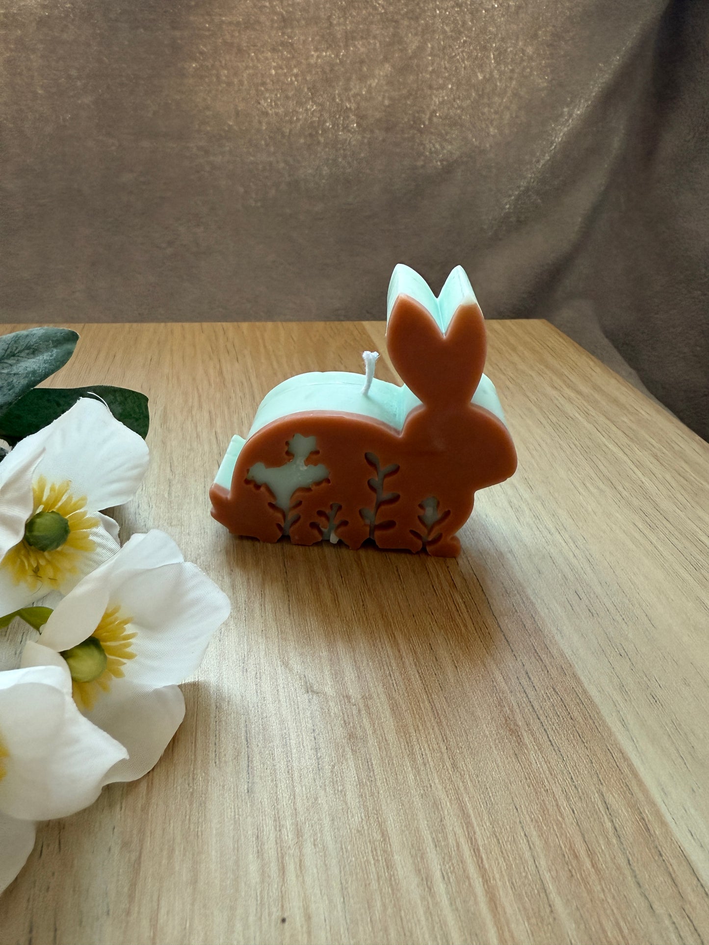 Hase auf 4 Pfoten