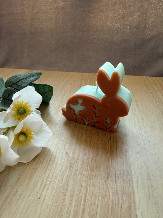 Hase auf 4 Pfoten